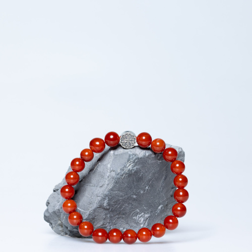 Karneol Armband 8 mm 